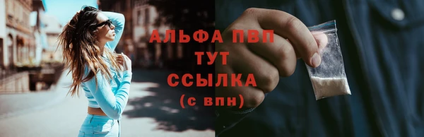прущий лед Абаза