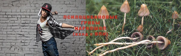 прущий лед Абаза