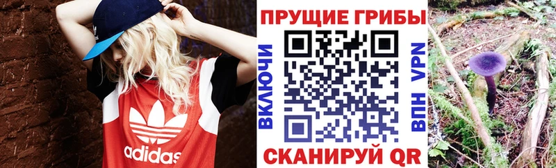 Псилоцибиновые грибы ЛСД  закладка  Кировград 